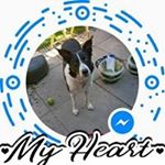 Profile Picture of joyce hannan (@joyceh007) on Instagram