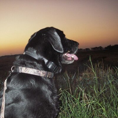 Profile Picture of Mark Pool (@rmpool) on Twitter