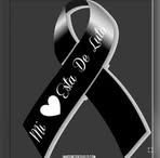 Profile Picture of Alexander Mauri (@Alexander-Mauri) on Facebook