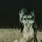 Profile Picture of Alexander Ononye (@xander.thegreat) on Instagram