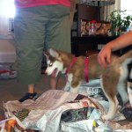 Profile Picture of Katelyn Dolan (@kdolan123) on Instagram