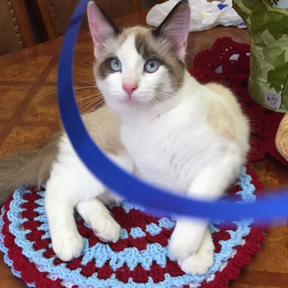 Snezhanna Semchenko - Poshmark Profile Picture of Snezhanna Semchenko (@snezanna123) on Poshmark