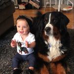 Profile Picture of Lindsay Borkan (@phyllisthebmd) on Instagram