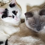 Profile Picture of Ruth Adamson (@ruth.adamson.3766) on Facebook