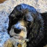 Profile Picture of Kevin Kallmeyer (@redryder1972) on Instagram