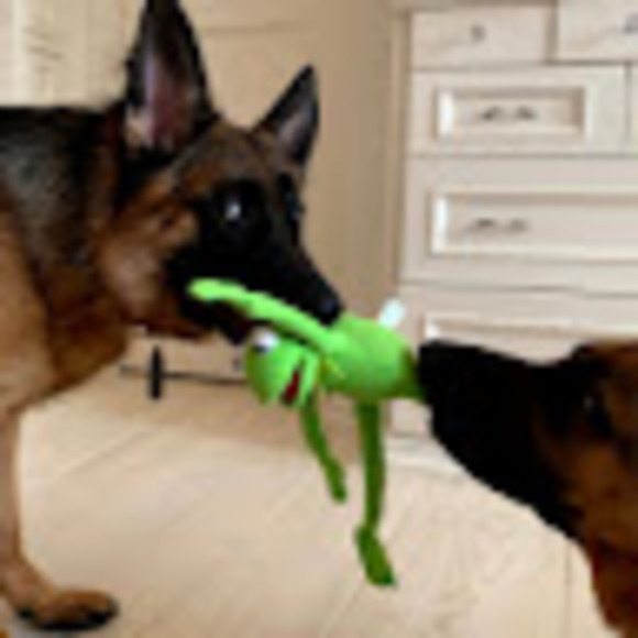 Profile Picture of Daniela Johannson (@d_johannson) on Poshmark