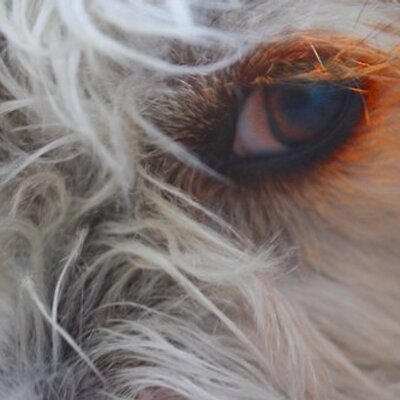 Profile Picture of Richard Tester (@tester_richard) on Twitter
