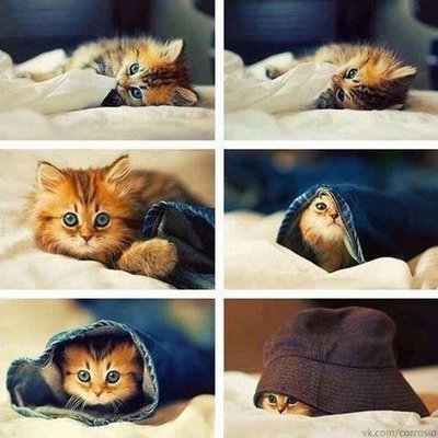 Jay Woon - Twitter Profile Picture of Jay Woon (@atheerkhalifa) on Twitter