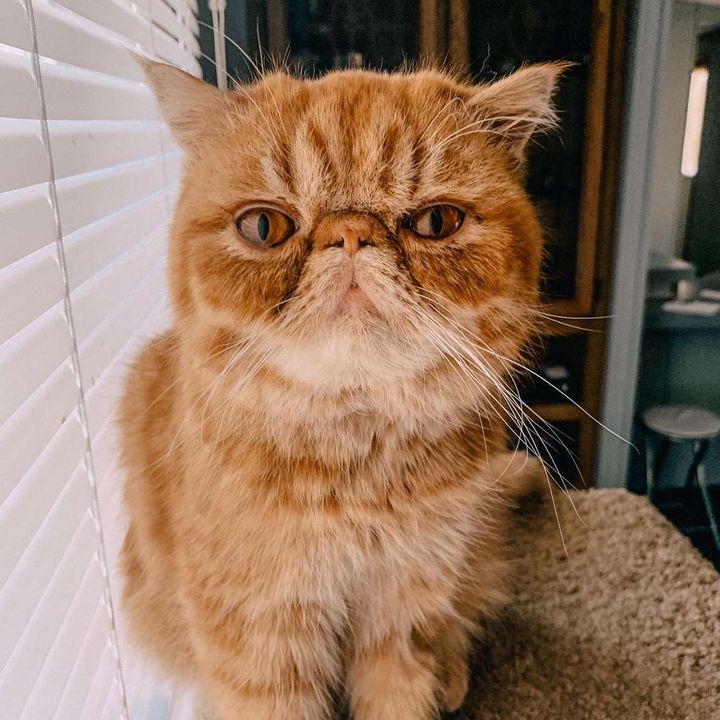 Profile Picture of Peter J (@peter.zots) on Tiktok