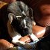 Profile Picture of Jeffrey Pickersgill (@jeffrey.norman.pickersgill) on Facebook