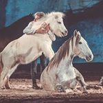 Profile Picture of Jean François Pignon (@jeanfrancoispignon) on Instagram