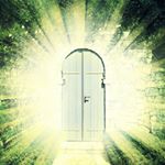 Profile Picture of daigon live (@daigon.live) on Instagram