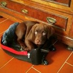 Profile Picture of dustin Kunkel (@dustin_kunkel13) on Instagram