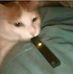 Profile Picture of Zachary Cain (@zachary.cain.904) on Facebook
