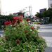 Profile Picture of Duong Dung (@duong.dung.33449138) on Facebook