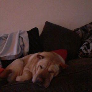 Profile Picture of Stan Dutton (@stan_dutton) on Twitter