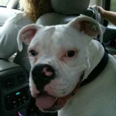 Profile Picture of Jonathan Settle (@jonjonsettle) on Twitter