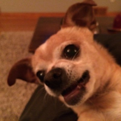 Profile Picture of Scott Thayer (@Thayo30) on Twitter