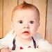 Profile Picture of Jesse Womble (@snowysiberian) on Pinterest