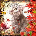 Profile Picture of Jodie Lemmer (@lemmerjodie) on Instagram