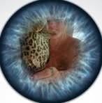 Profile Picture of Kim Hocknell Laney (@kim.bertrand.90) on Facebook