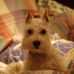 Profile Picture of Ray Clary (@ray.clary.33) on Facebook