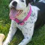 Profile Picture of Jeff Ciccone (@cicconejeff) on Instagram