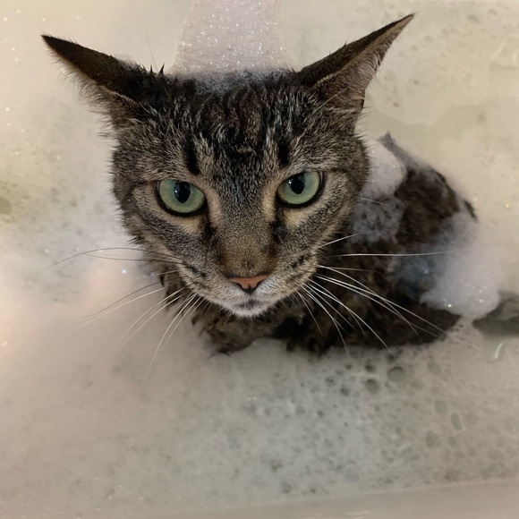 Profile Picture of Lily Vanderburgh (@killua99) on Poshmark