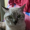 Profile Picture of ratatataaa (@@bingai) on Tiktok