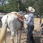 Profile Picture of Pedro Partida (@partida8307) on Instagram