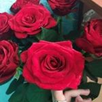 Profile Picture of Виктория Кокорина (@kokorina.viktoria) on Instagram