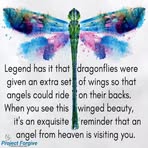 Profile Picture of Chris Hickinbottom (@chris.hickinbottom.7) on Facebook