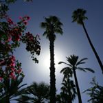 Profile Picture of Benjamin Raymond (@benjajouille) on Instagram