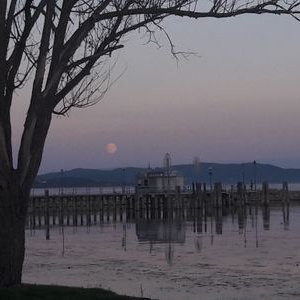 Profile Picture of Vincenzo Brunetti (@brunetti_vince) on Twitter