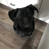 Profile Picture of Dani (@@dannybee96) on Tiktok