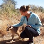 Profile Picture of Amanda Willemse (@amanda_willemse_) on Instagram