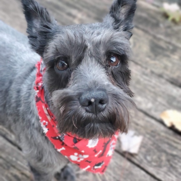 Profile Picture of Barbara Haley (@maandpa63) on Poshmark