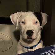 Profile Picture of Kelly Wilkins (@kellywilkins9672) on Youtube