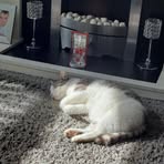 Profile Picture of Shane Knapper (@Shane-Knapper) on Facebook