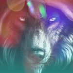 Profile Picture of Robert Michael Snedeker (@snedy20) on Instagram