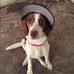 Profile Picture of Nick Patchen (@nicholas.patchen.7) on Facebook