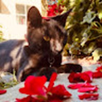 Profile Picture of Cassandra Hurtado (@cassandra-hurtado-6) on Quora