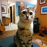 Profile Picture of Barry Trent (@btrent98) on Pinterest