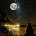 Profile Picture of Carol Pypers (@carolpypers22) on Pinterest