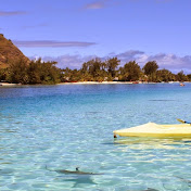 Profile Picture of Kim Wolff (@kimwolff2317) on Youtube