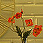 Profile Picture of Daniel Kuo (@danielkuo2014) on Flickr