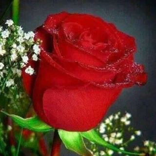 Profile Picture of Jean Kllu Mandinisoa (@jeankllu.mandinisoa) on Facebook