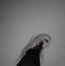 Profile Picture of Jerome Heinz (@jerome.heinz.376) on Facebook