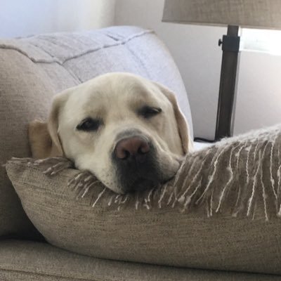 Profile Picture of Sean Murnane (@SeanMurnane12) on Twitter