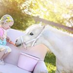 Profile Picture of Jerry Bailey (@jerrybailey7399) on Instagram